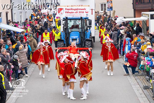 Foto Laudi_Pleintinger_Faschingszug-206044.jpg